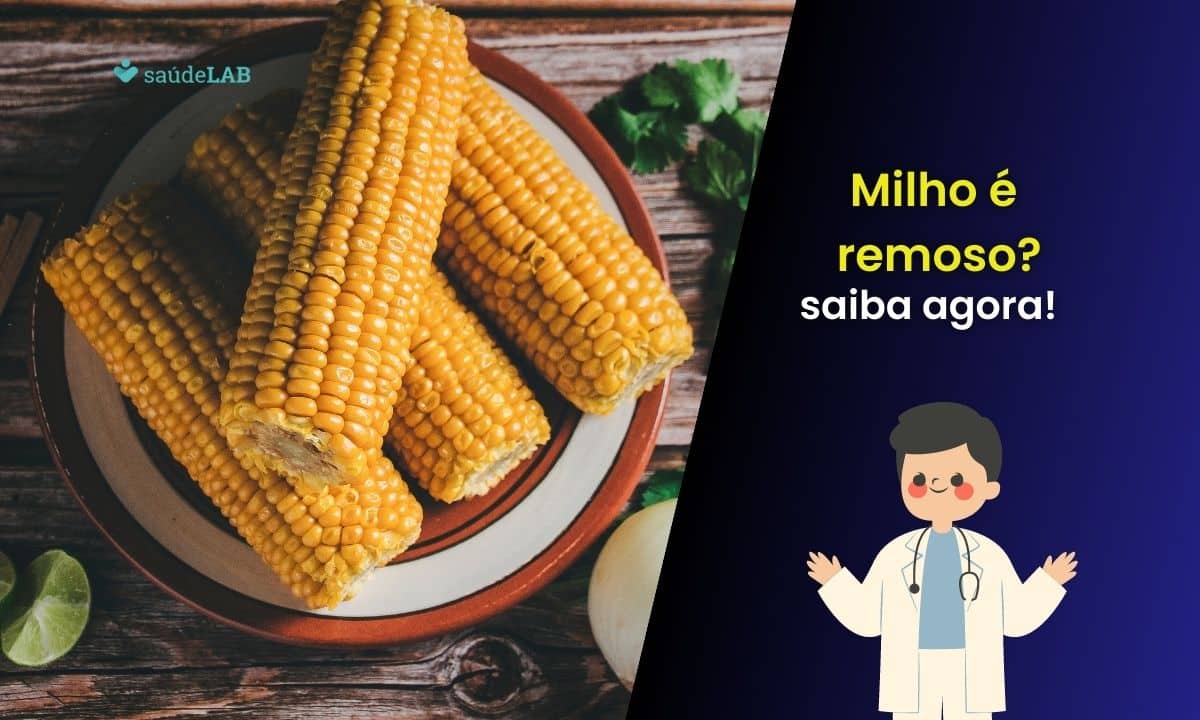 Milho é remoso para a saúde? Veja as vantagens e desvantagens dele 1 Milho é remoso.