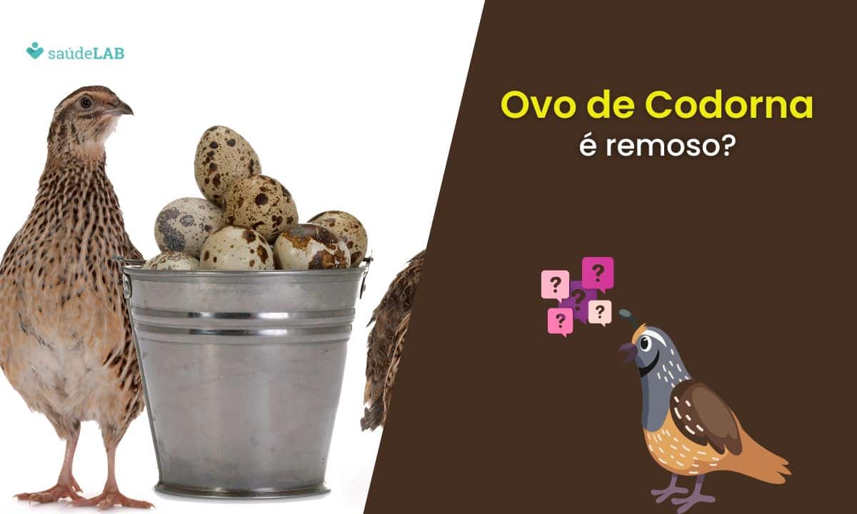 Ovo de codorna é remoso? Saiba no que ele se difere do ovo de galinha 1 Ovo de codorna é remoso.