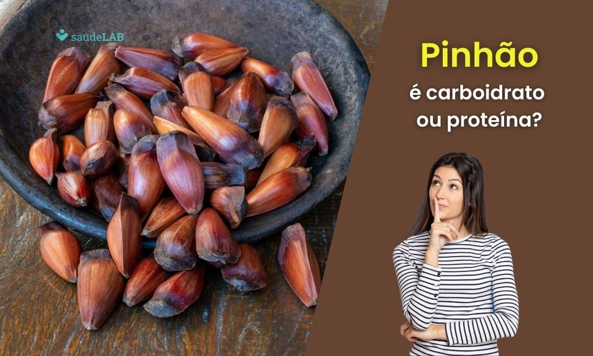 Pinhão é carboidrato ou proteína? Entenda todos seus nutrientes 1 Pinhão é carboidrato ou proteína.