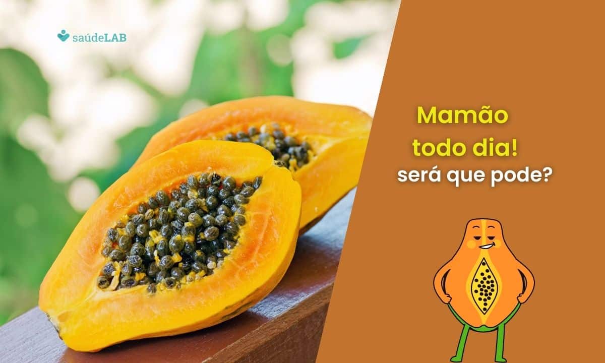 Pode comer mamão todos os dias? Descubra o que acontece se fizer isso 1 Pode comer mamão todos os dias.