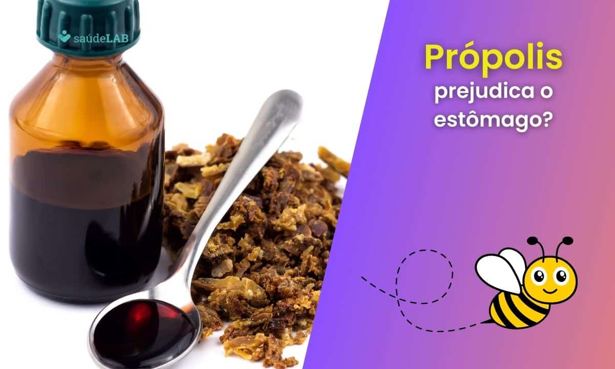 Própolis faz mal para o estômago? Saiba como usar o produto com segurança 1 Própolis faz mal para o estômago.