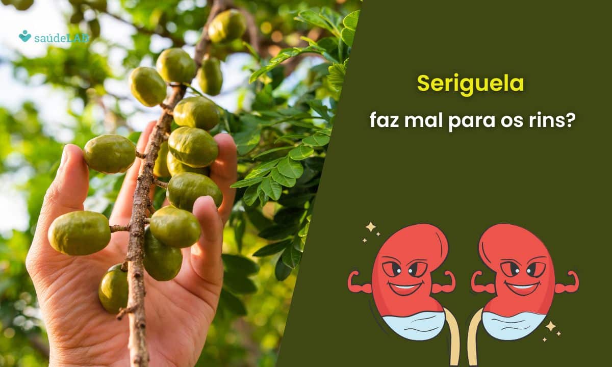 Seriguela faz mal para os rins? Saiba quais os benefícios e malefícios dela 1 Seriguela faz mal para os rins.