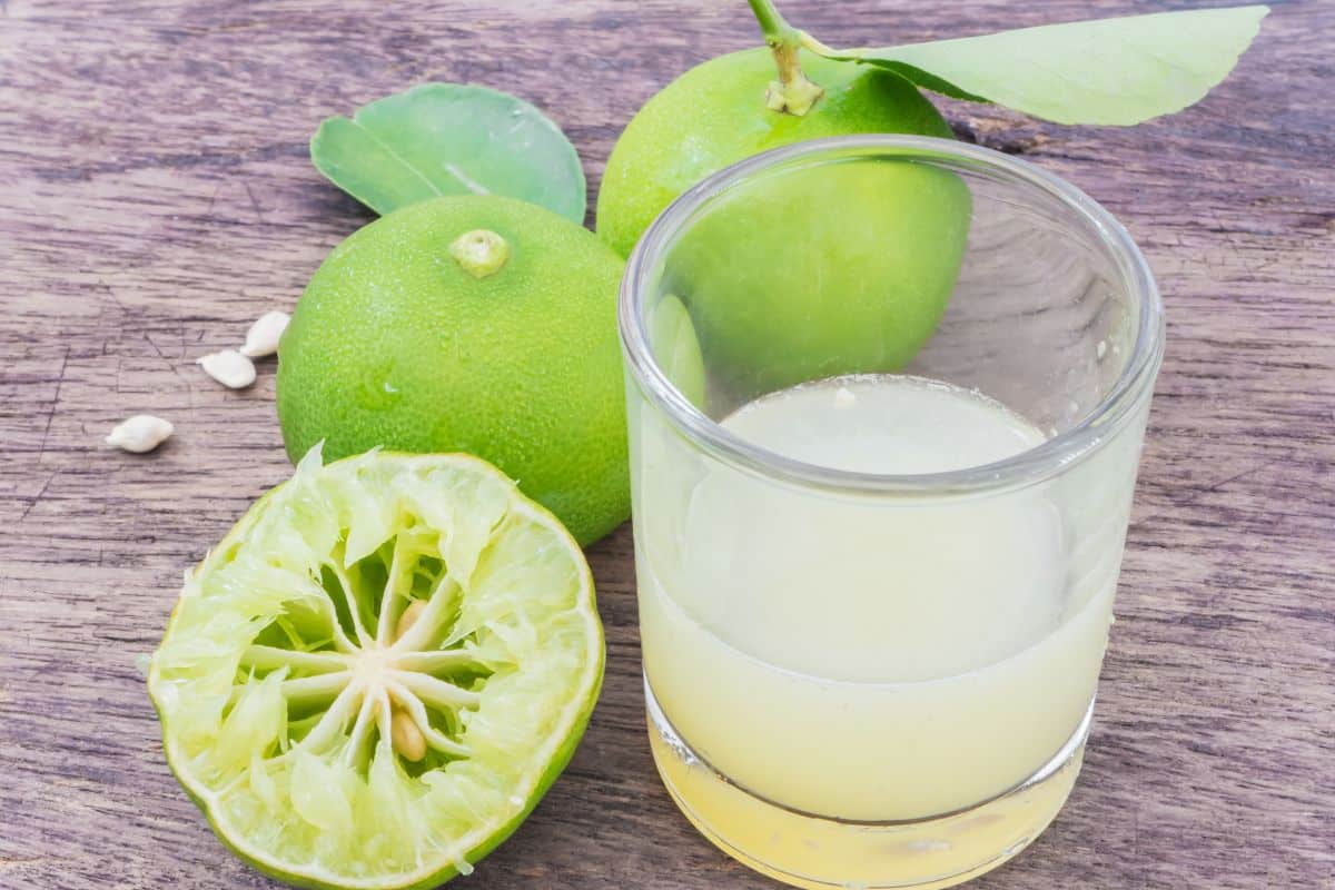 Suco de Chuchu com Limão para Pressão Alta: saiba como fazer 2 Suco de Chuchu com Limão