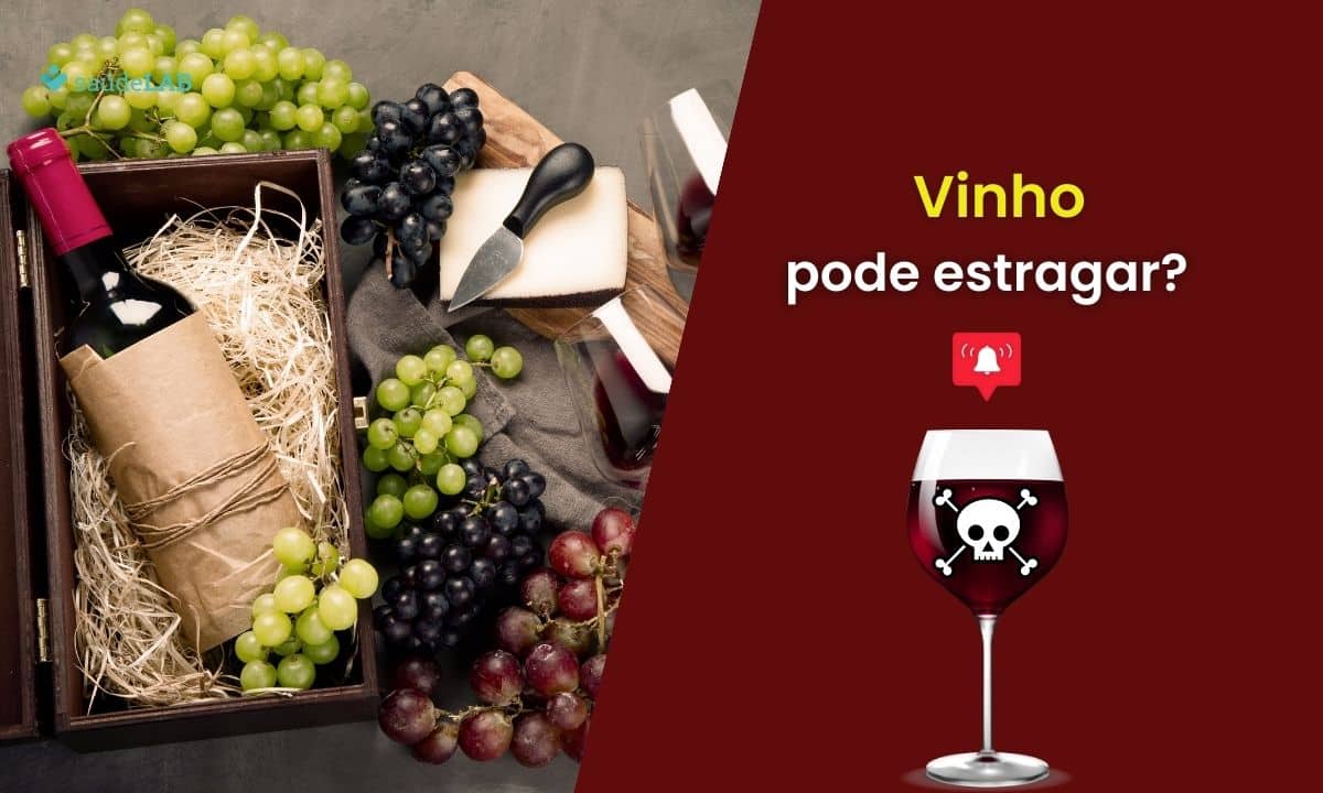 Será que o vinho estraga? Descubra qual a melhor forma de conservar ele 1 Vinho estraga.