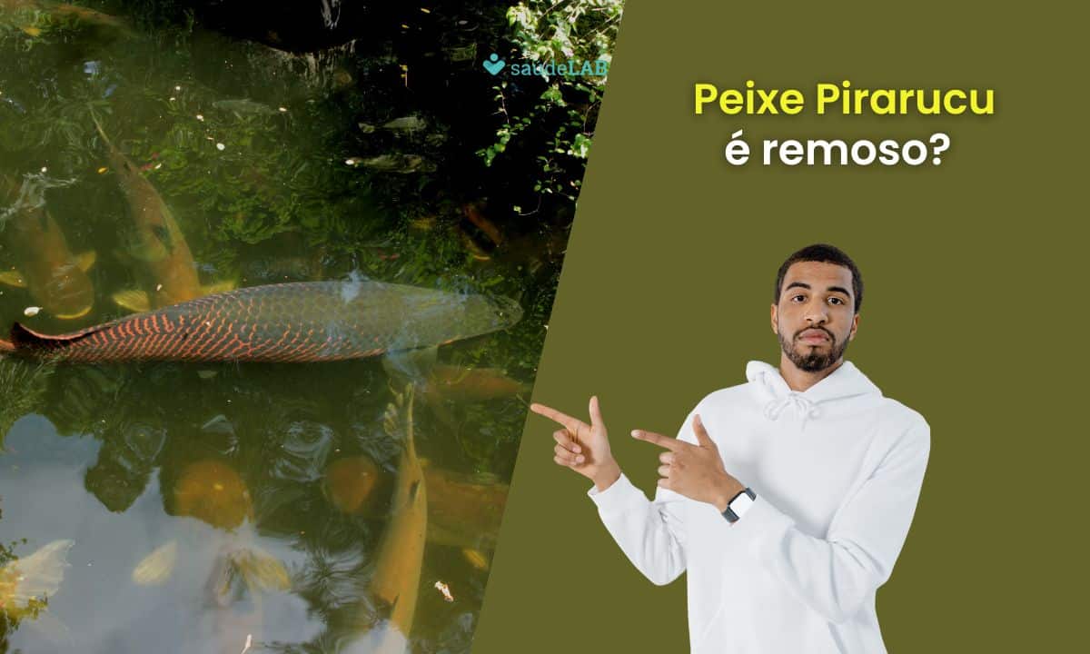 Pirarucu é remoso? Entenda o que este peixe tem de diferente e os cuidados necessários 1 Pirarucu é remoso.