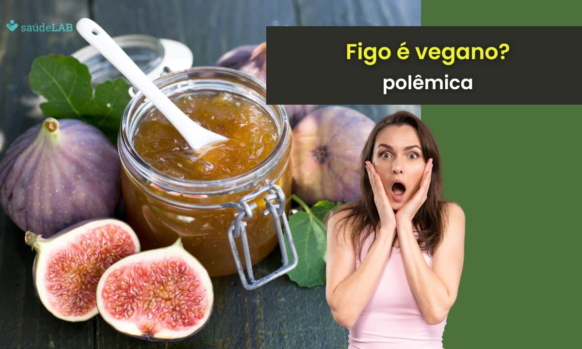 Figo é vegano mesmo? Te explicamos o motivo da polêmica 1 Figo é vegano.