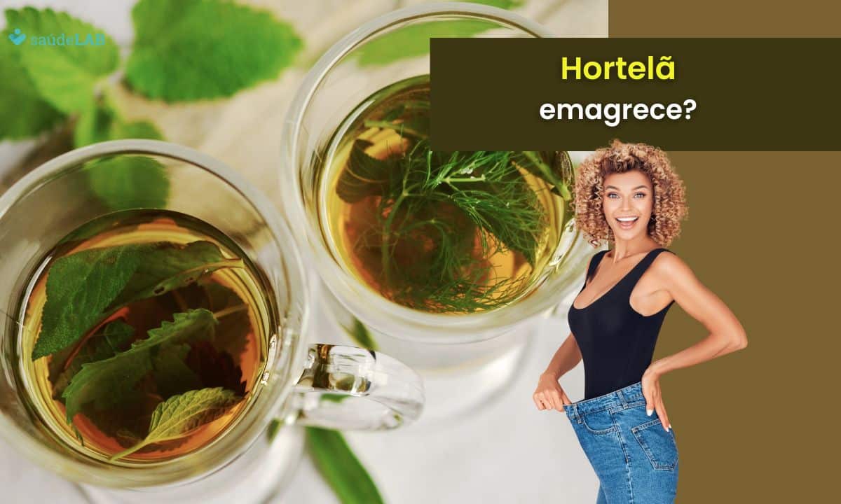 Hortelã emagrece? Confira os reais benefícios dessa planta para sua saúde 1 Hortelã emagrece.