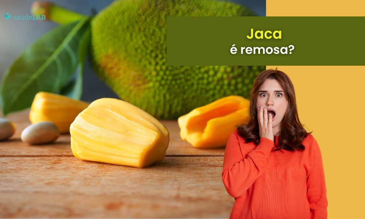 Jaca é remosa? Fique por dentro das suas propriedades para a saúde 1 Jaca é remosa.