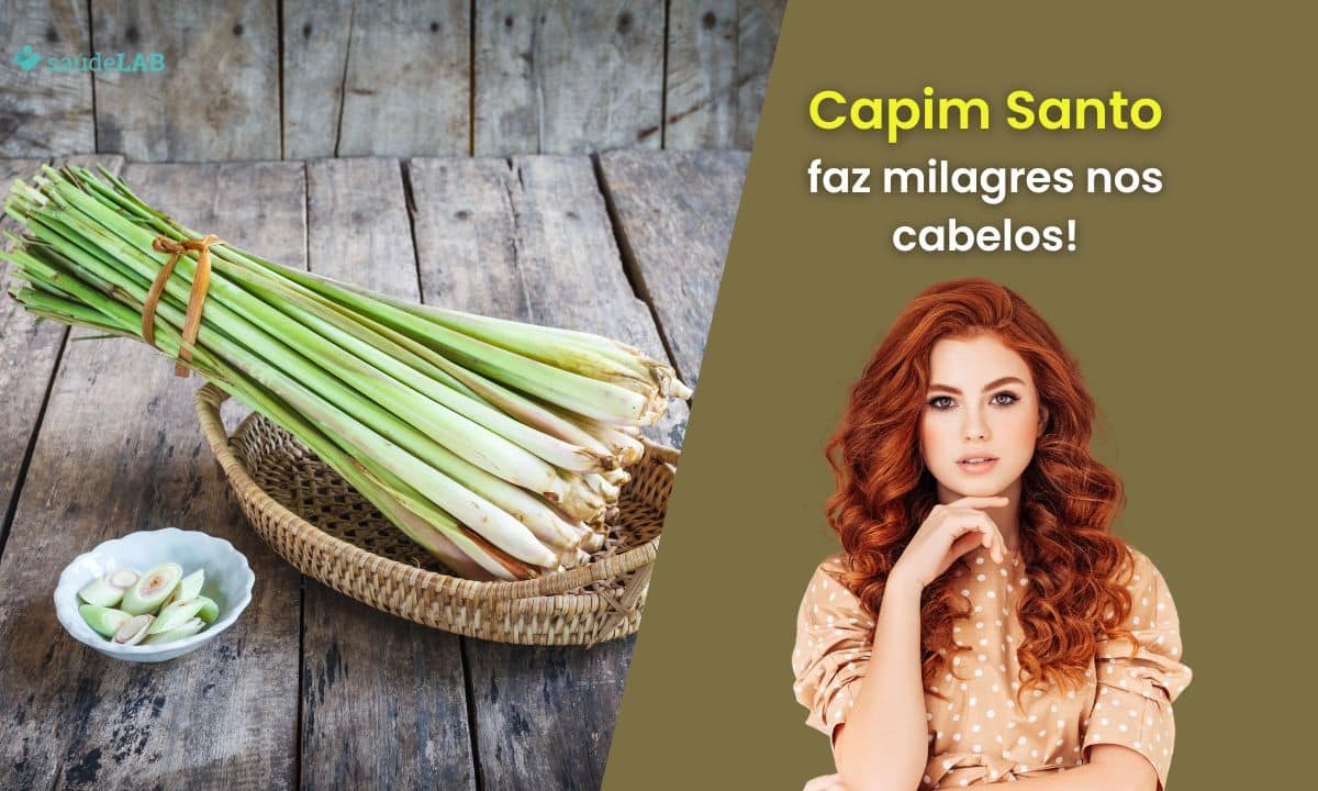 Benefícios do capim santo para os cabelos: 7 vantagens de usar a planta regularmente 1 Benefícios do capim santo para os cabelos.