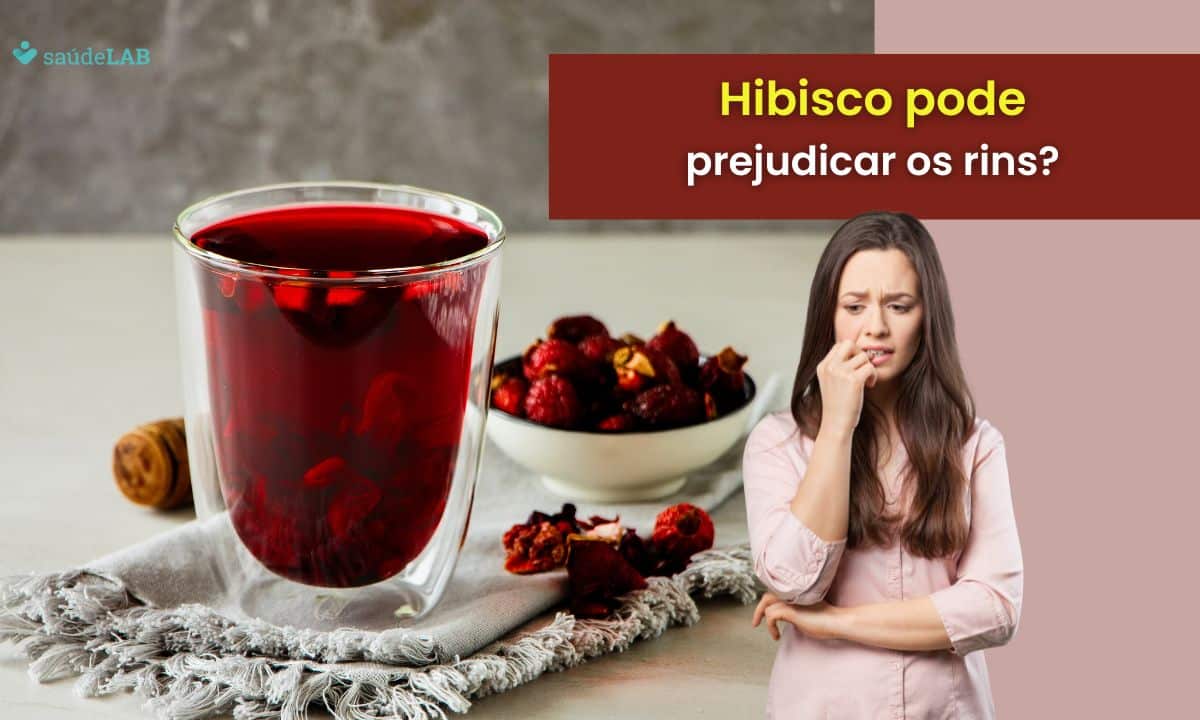 Hibisco faz mal para os rins? Descubra seus verdadeiros efeitos 1 hibisco faz mal para os rins.