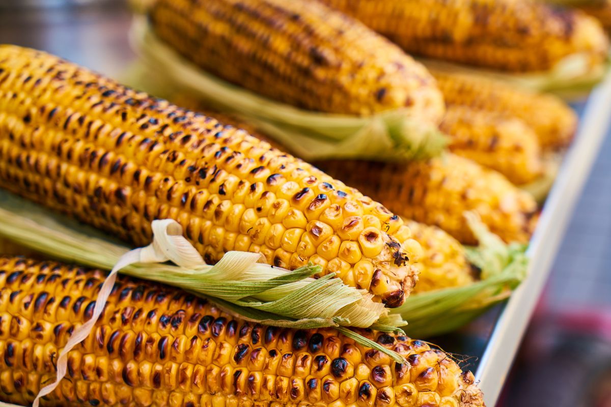 Como assar milho na airfryer? Acerte no tempero e conquiste um sabor de brasa 2 Como assar milho na airfrye