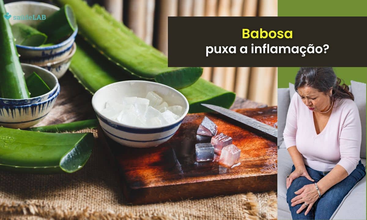 Babosa puxa inflamação? Conheça as suas utilidades na pele e saúde 1 Babosa puxa a inflamação.