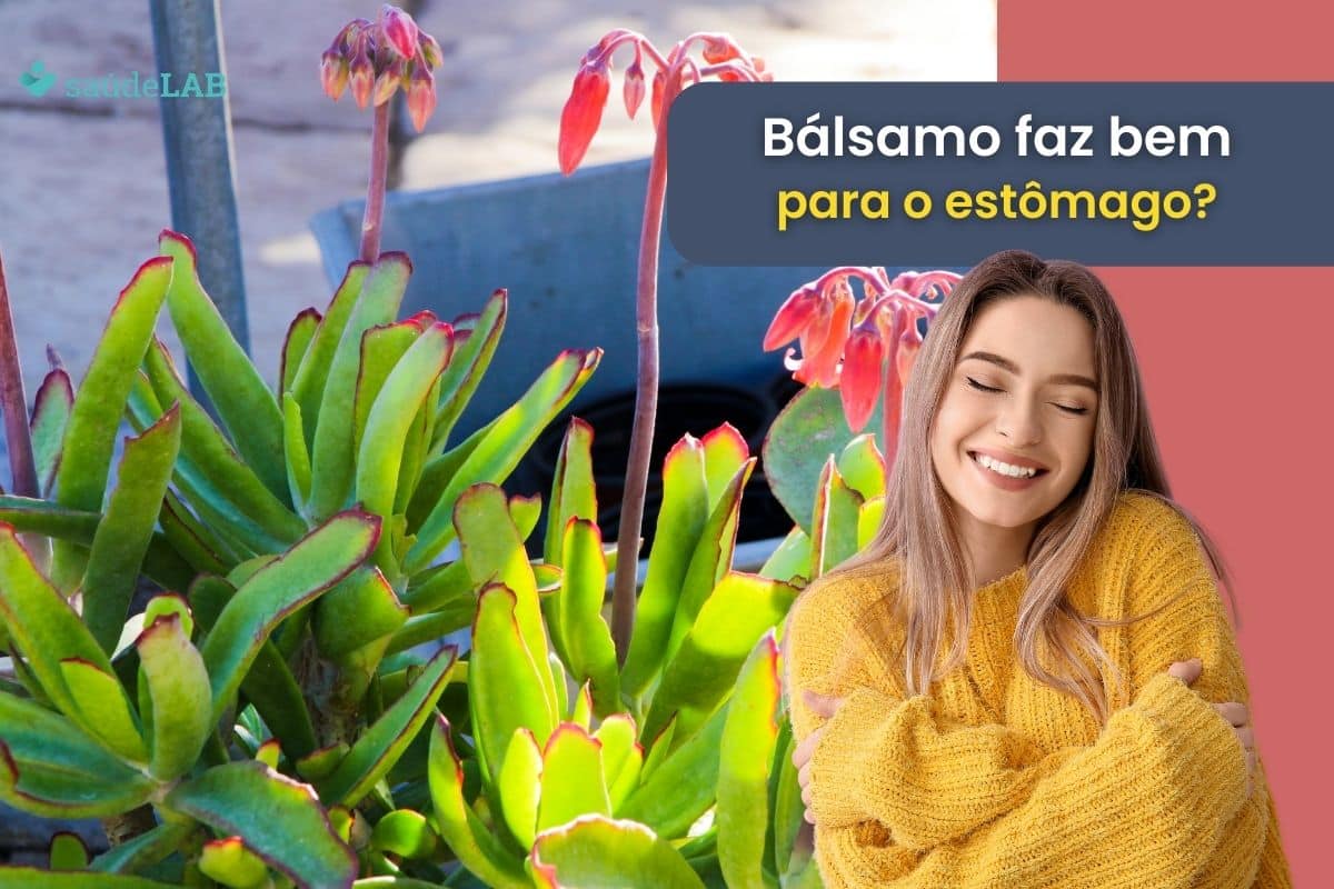 Bálsamo é bom para o estômago? Conheça agora suas verdadeiras utilidades 1 bálsamo é bom para o estômago.