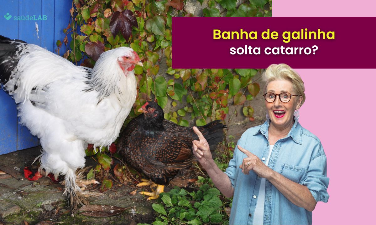 Banha de galinha solta catarro? Descubra se é mito ou verdade 1 banha de galinha solta catarro.