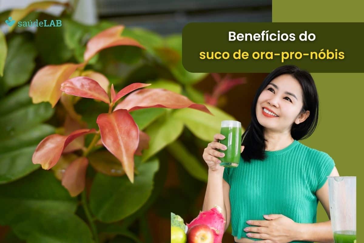 Suco de Ora-pro-nobis: conheça os benefícios e como preparar 1 benefícios do suco de ora-pro-nóbis.