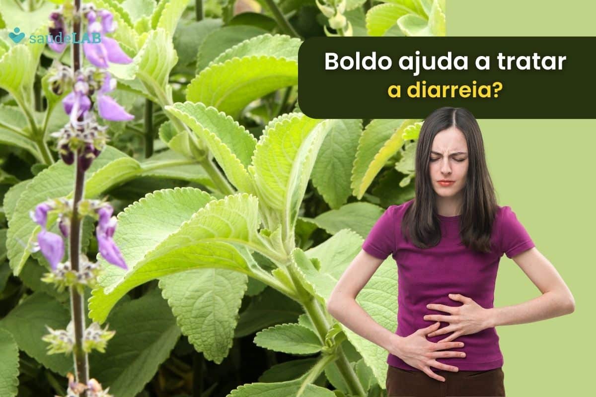 Boldo é bom para diarreia? Veja os benefícios da bebida nessa ocasião 1 Boldo é bom para a diarreia.
