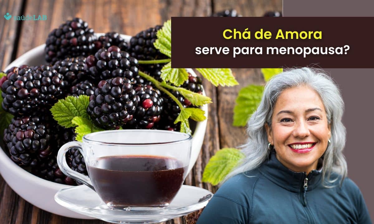 Chá de amora serve para menopausa? Conheça seus benefícios para saúde da mulher 1 chá de amora serve para menopausa.
