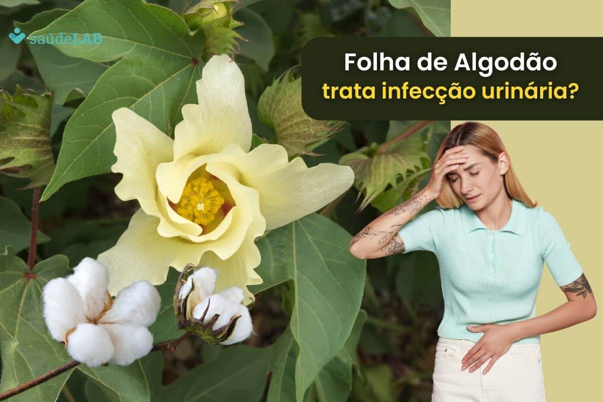 Chá de folha de algodão é bom para infecção urinária? Entenda seus efeitos e use do jeito certo 1 chá de folha de algodão é bom para infecção urinária.