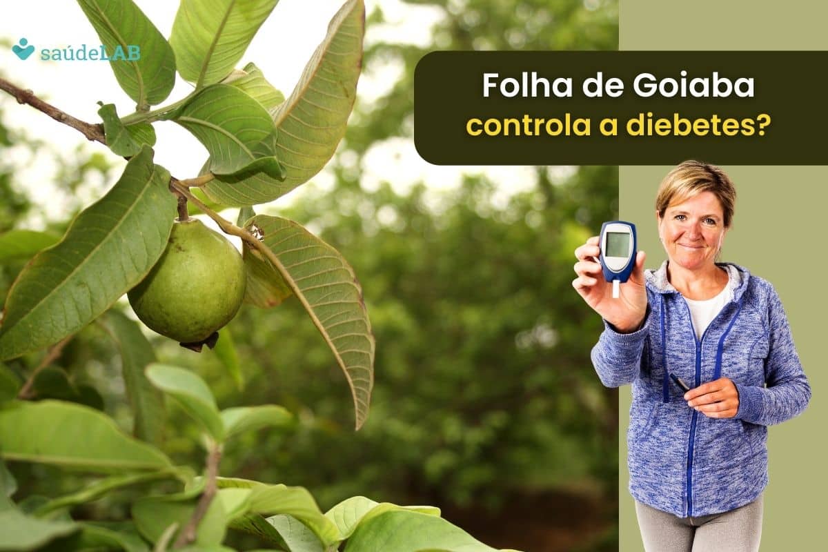 Chá de folha de goiaba é bom para diabetes? Descubra agora se ajuda ou atrapalha 1 chá de folha de goiaba é bom para diabetes.