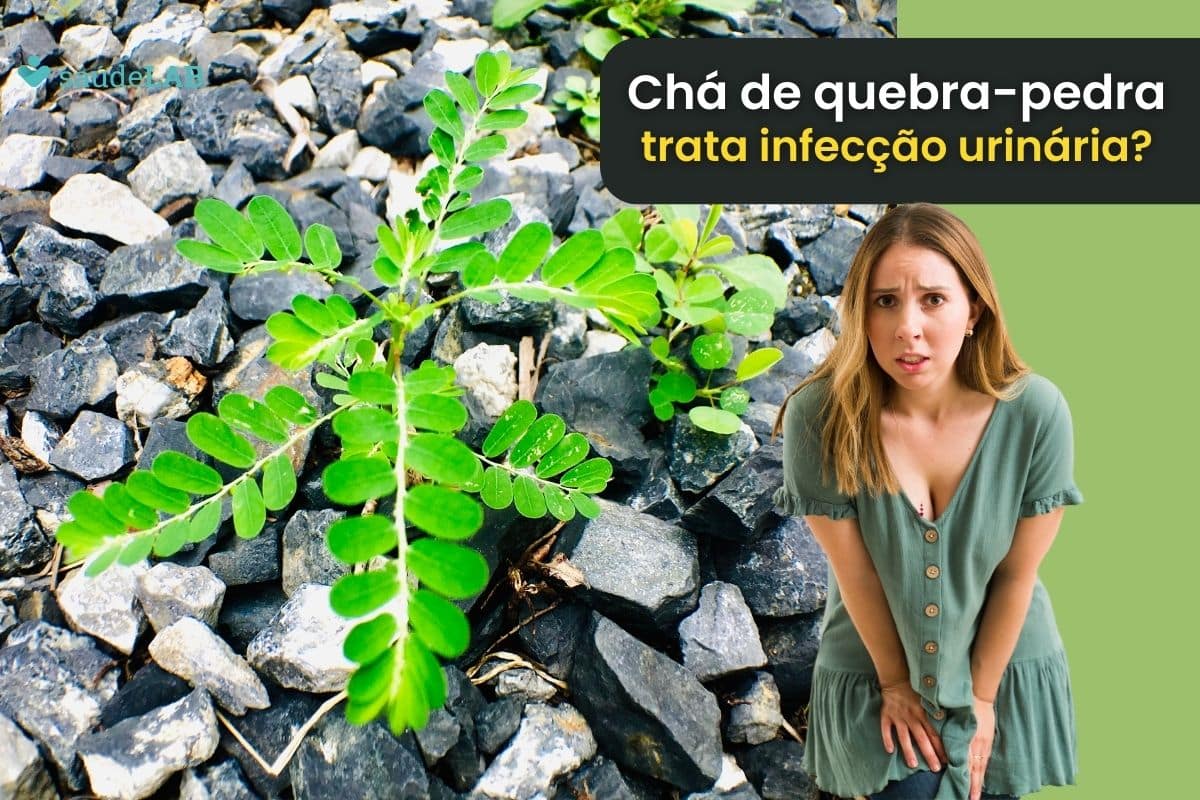 Chá de quebra-pedra é bom para infecção urinária? Entenda melhor seus efeitos 1 Chá de quebra-pedra é bom para infecção urinária.