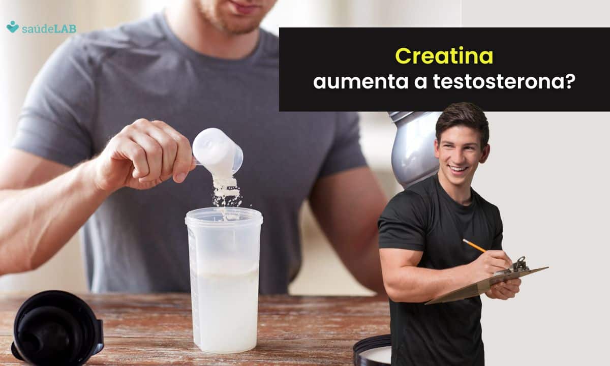 Creatina aumenta a testosterona? Conheça os seus principais efeitos 1 Creatina aumenta a testosterona.