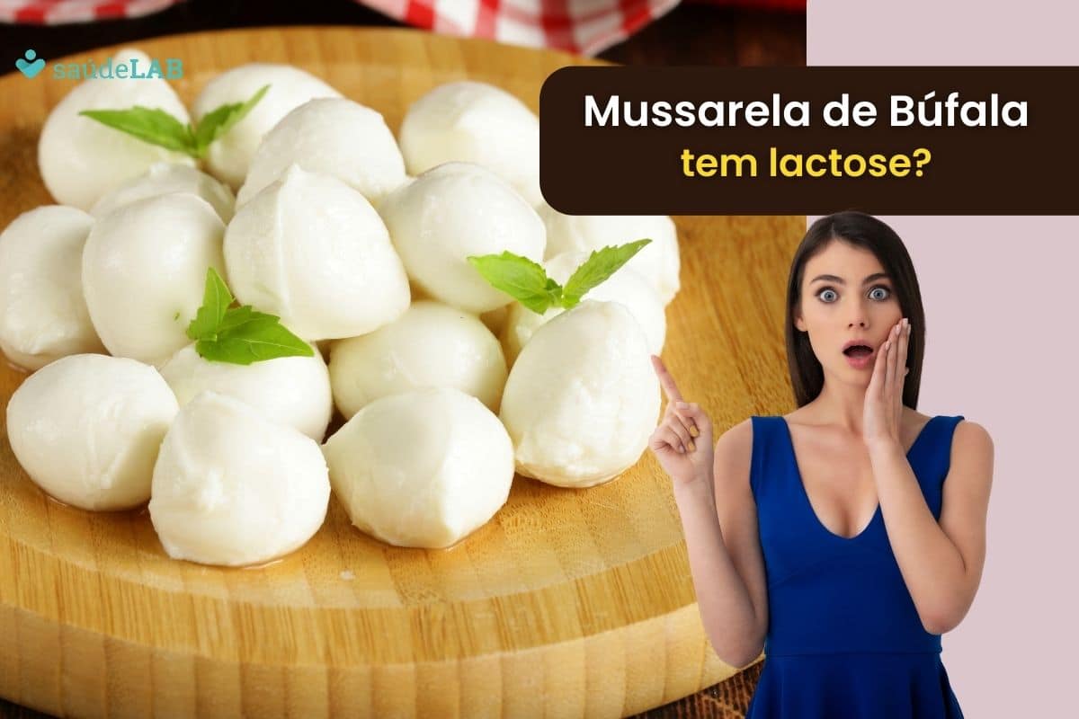 Mussarela de Búfala tem lactose? Conheça as vantagens de fazer a substituição 1 mussarela de búfala tem lactose.