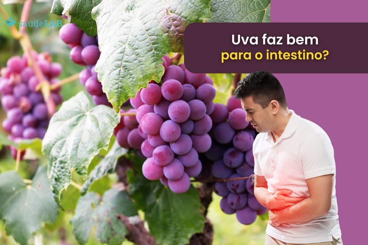 Uva é bom para o intestino? Descubra se usar a fruta é uma boa ideia 1 uva é bom para o intestino.