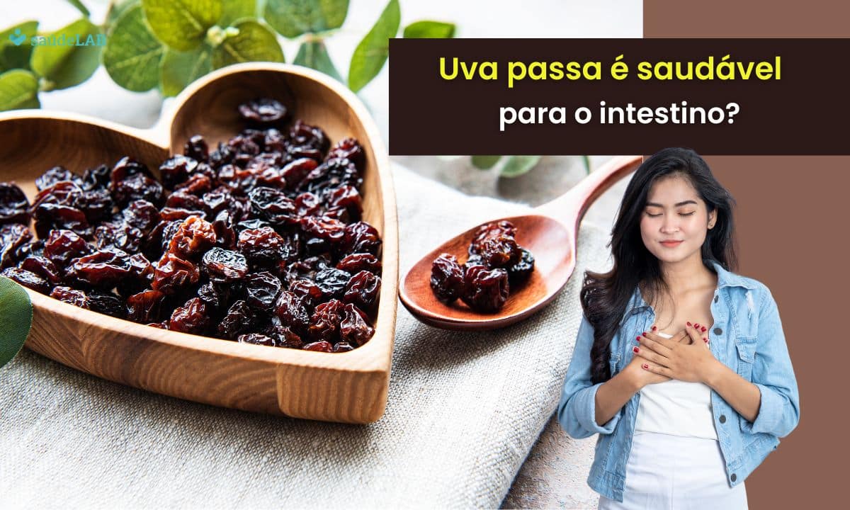 Uva passa é bom para o intestino? Saiba como ela é útil para nossa saúde 1 Uva passa é bom para o intestino.