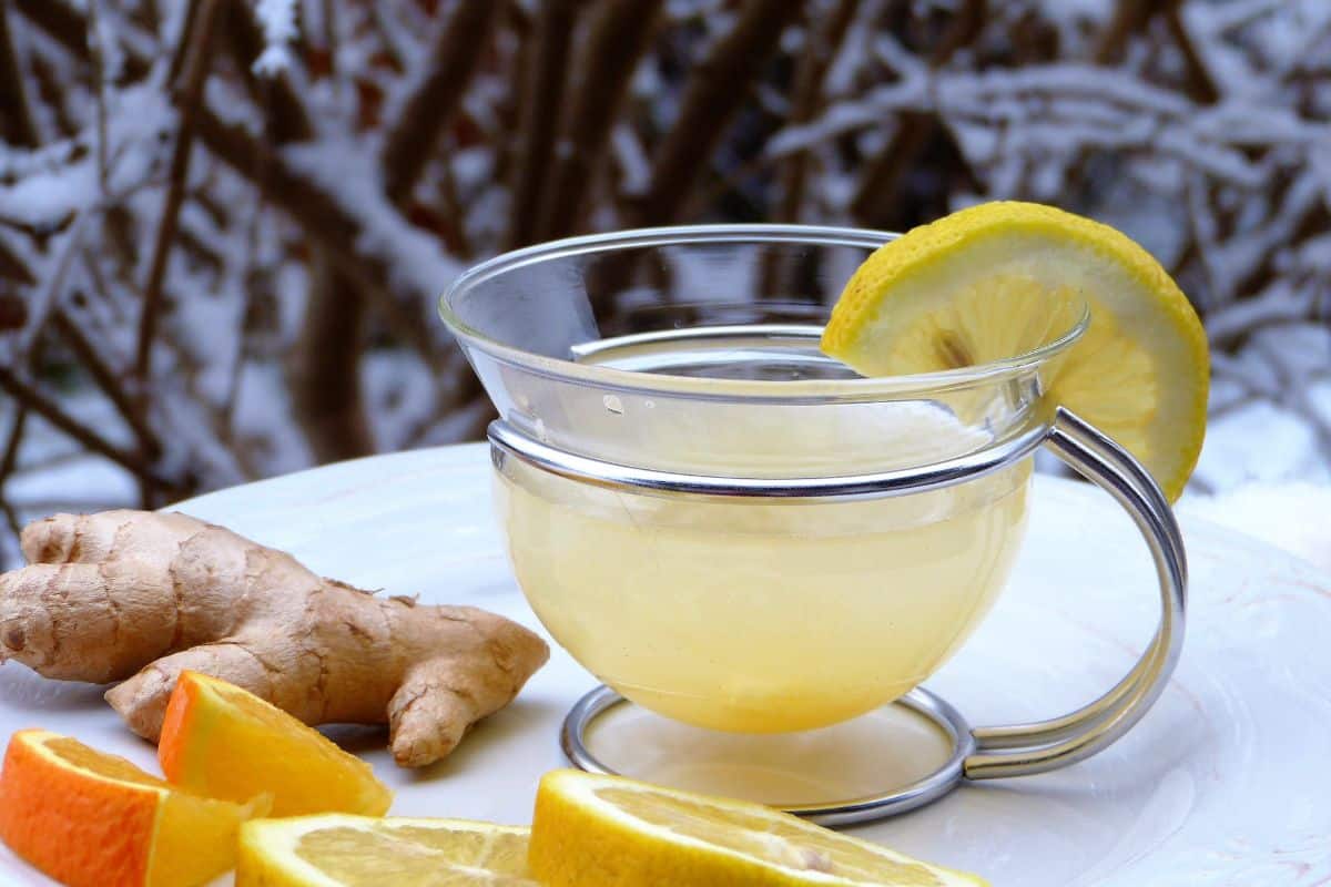 20 benefícios do gengibre com limão: aproveite tudo que tem de melhor 2 benefícios do gengibre com limão