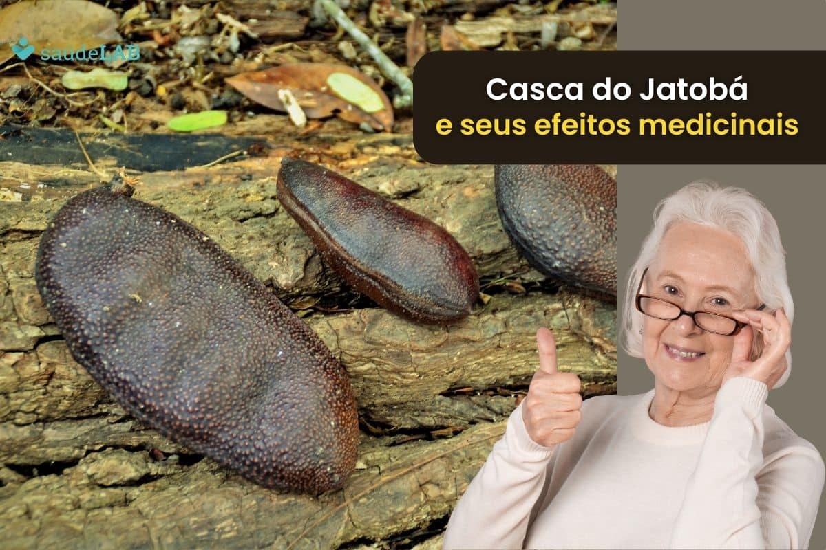 Casca de jatobá tem efeito afrodisíaco e ainda é emagrecedor: confira benefícios e usos 1 Casca de jatobá.
