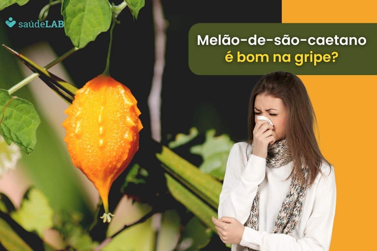 Melão-de-são-caetano é bom para gripe? Veja seus benefícios efetivos nesse caso 1 Melão-de-São-Caetano é Bom para Gripe.