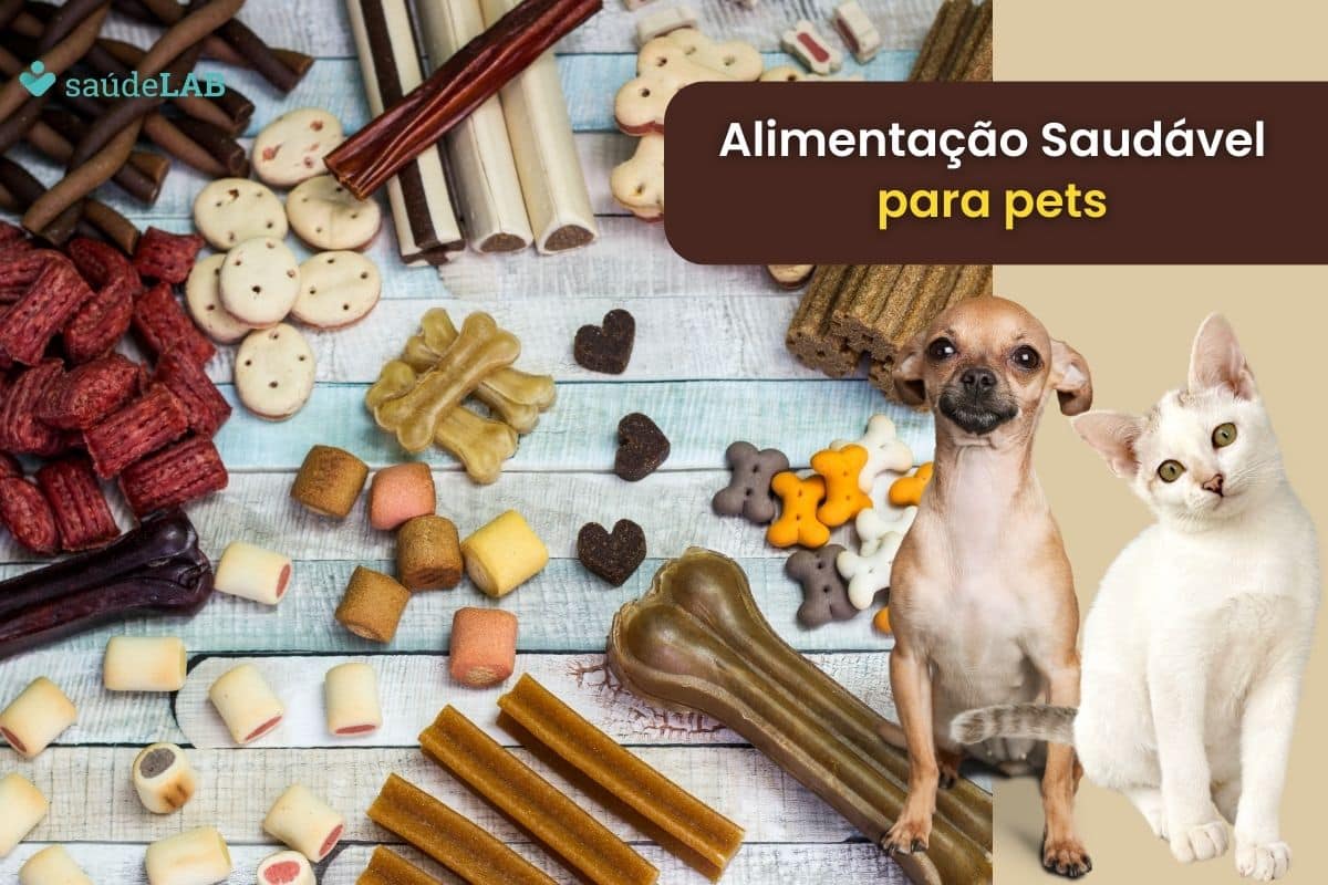 Alimentação Saudável para Pets: Garantindo uma vida plena e feliz para seus companheiros peludos 1 Alimentação saudável para pets.
