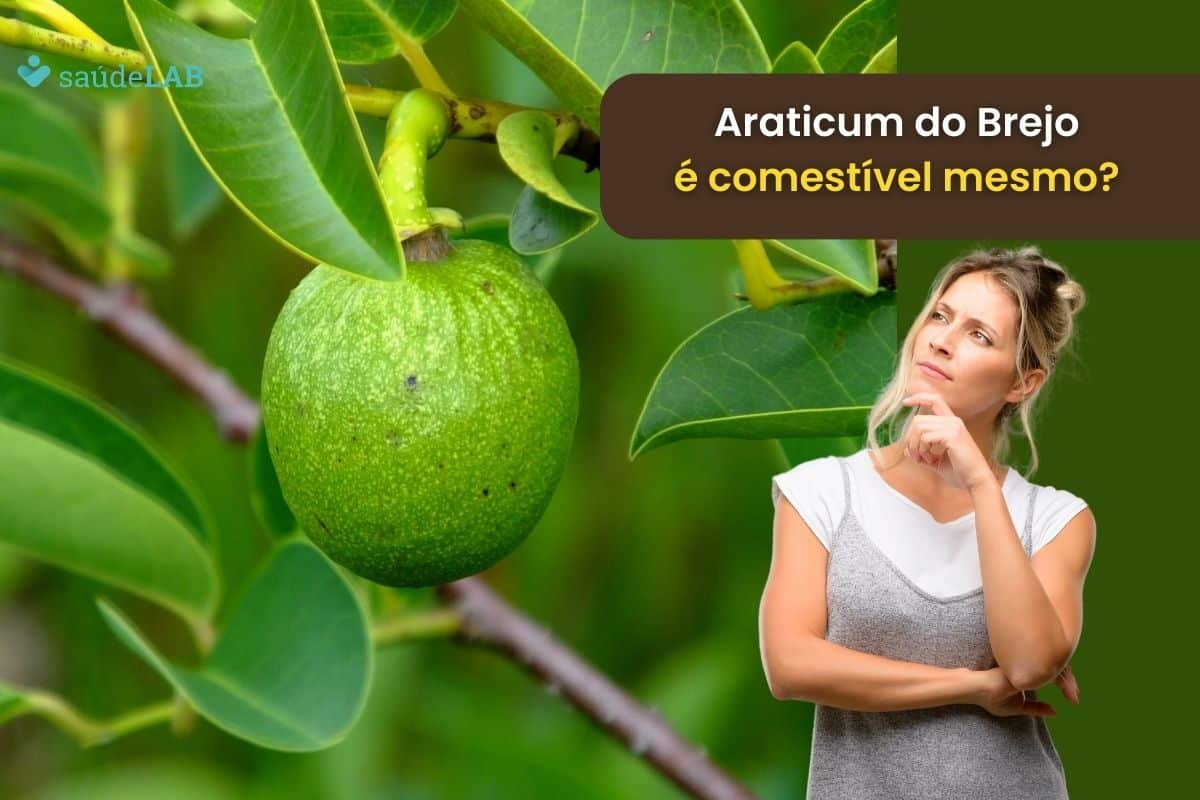 Araticum do brejo é comestível? Conheça mais sobre essa fruta exótica 1 Araticum do brejo é comestível.