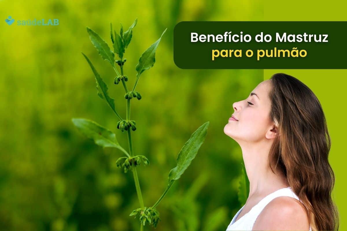Benefícios do mastruz para o pulmão: saiba os motivos para investir na planta 1 Benefícios do mastruz para o pulmão.