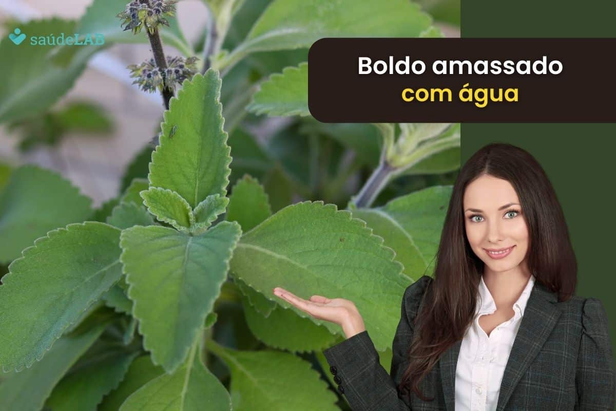 Para que serve o boldo amassado com água? Conheça suas aplicações 1 boldo amassado com água.
