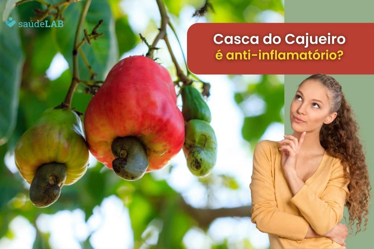Casca de cajueiro serve para inflamação? Conheça seus verdadeiros benefícios para saúde 1 casca de cajueiro serve para inflamação.