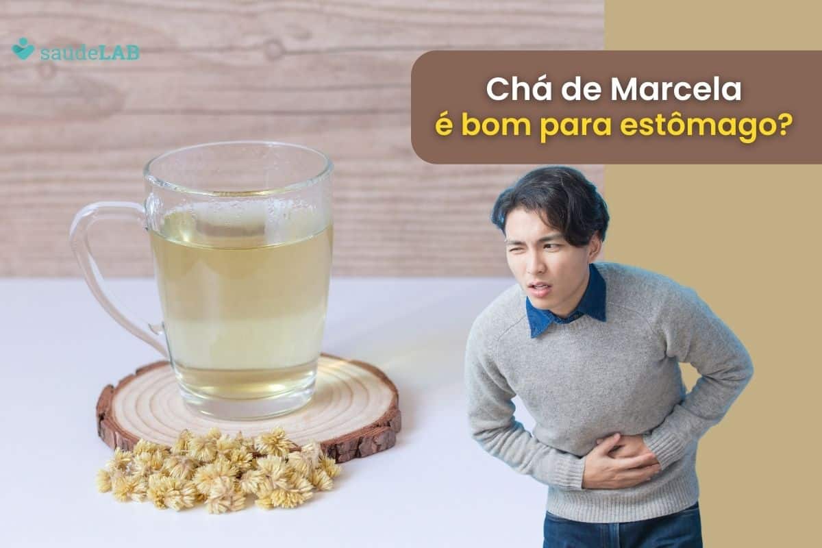 Chá de marcela é bom para o estômago? Saiba agora como usar corretamente 1 chá de Marcela é bom para o estômago.