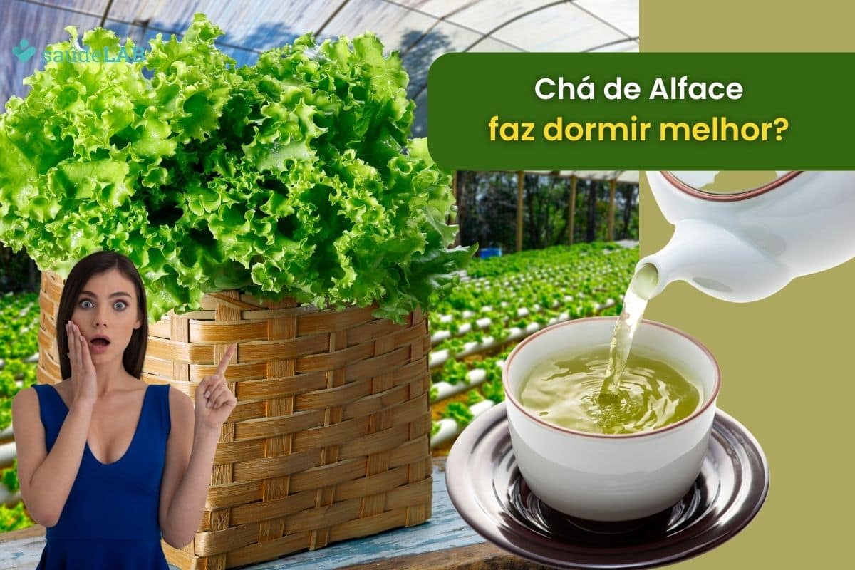 Chá de alface dá sono? A resposta vai te deixar de queixo caído 1 chá de alface dá sono.