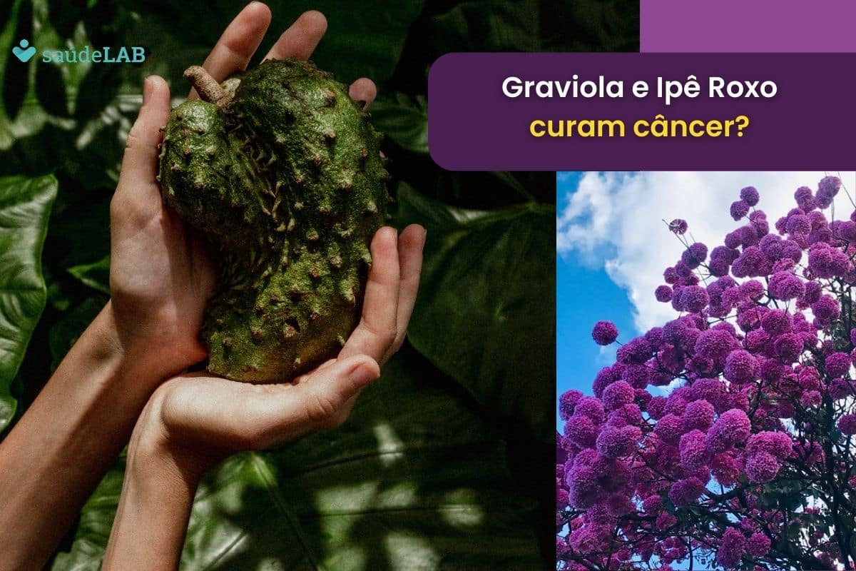 Graviola e ipê roxo cura câncer? Veja o porquê e problemas por trás disso 1 graviola e ipê roxo cura câncer.