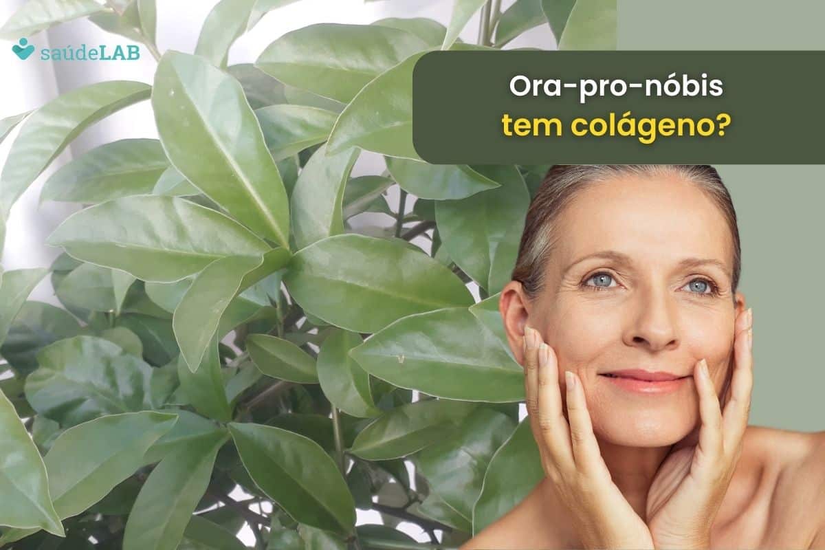 Ora-pro-nóbis tem colágeno? Descubra seus efeitos surpreendentes na saúde da pele 1 ora-pro-nóbis tem colágeno.
