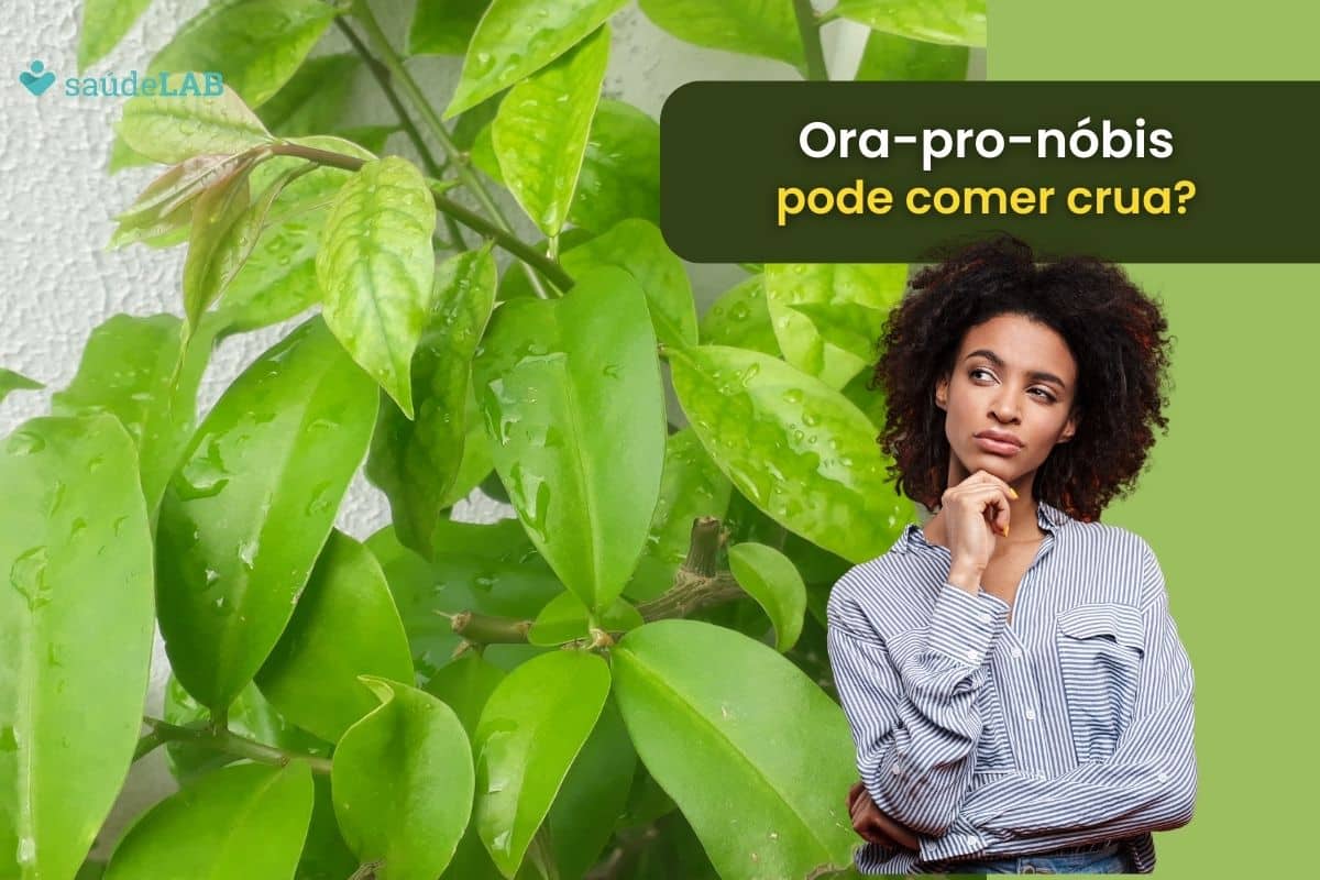 Pode comer ora-pro-nóbis cru, ou ela sempre precisa de algum preparo? Entenda melhor 1 pode comer ora-pro-nóbis cru.