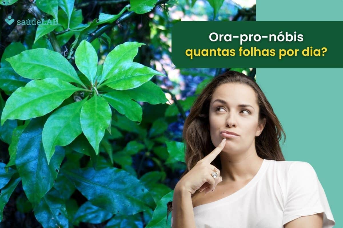 Quantas folhas de ora-pro-nóbis devo comer por dia? Descubra a quantidade ideal 1 quantas folhas de ora-pro-nóbis devo comer por dia.