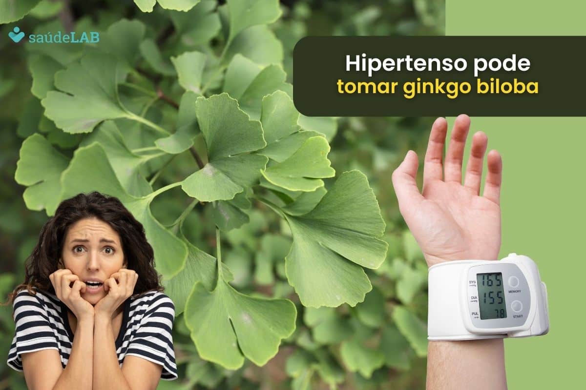 Quem tem pressão alta pode tomar ginkgo biloba? Entenda se é bom ou ruim para a doença 1 Quem tem pressão alta pode tomar ginkgo biloba.