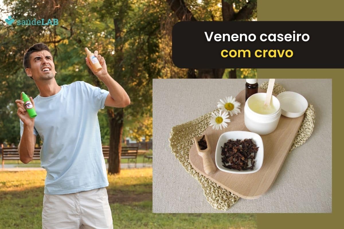 Veneno caseiro para matar pernilongo com cravo: truque infalível 1 Veneno caseiro para matar pernilongo com cravo.