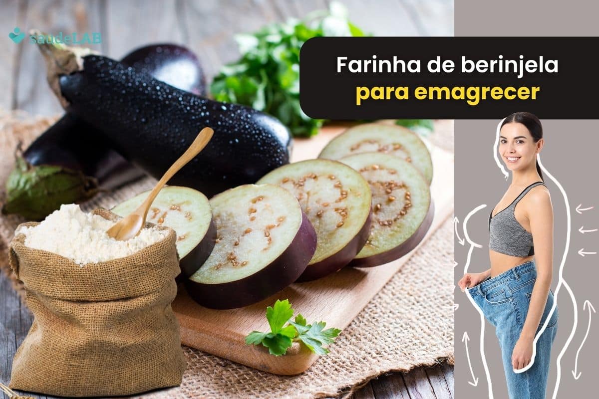 Como usar farinha de berinjela para emagrecer: saiba preparar e de que forma consumir 1 Como usar farinha de berinjela para emagrecer.