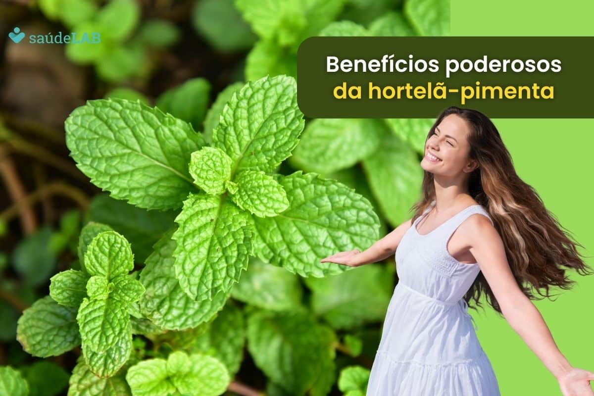 5 benefícios do hortelã-pimenta que vão te deixar de boca aberta! 1 benefícios do hortelã-pimenta.