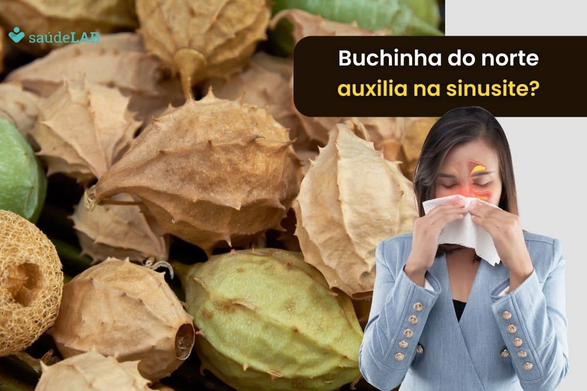 Buchinha do norte para sinusite: funciona mesmo? Conheça mais sobre o método caseiro 1 buchinha do norte para sinusite.