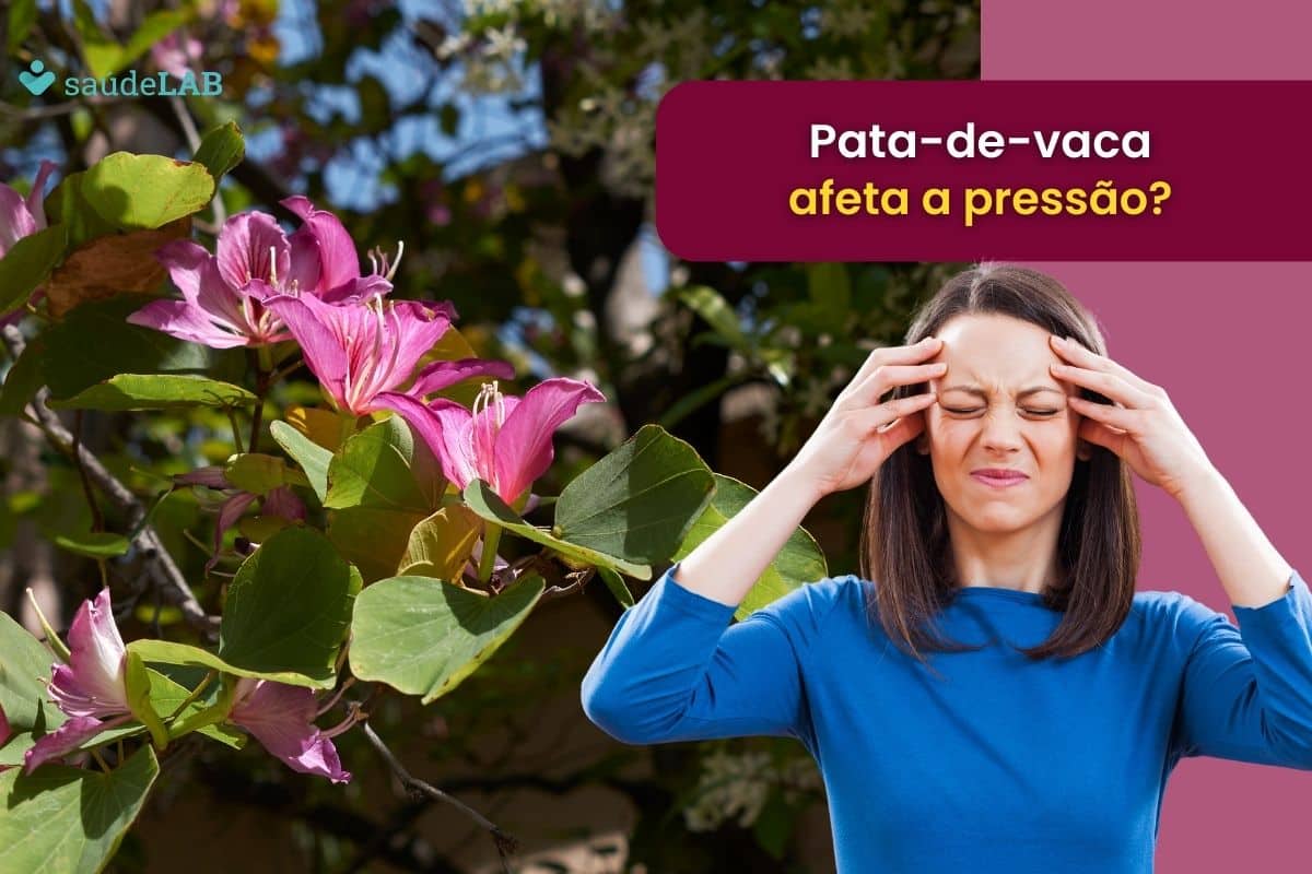 Chá de pata-de-vaca aumenta a pressão? Descubra mais sobre seus efeitos na saúde 1 chá de pata-de-vaca aumenta a pressão.