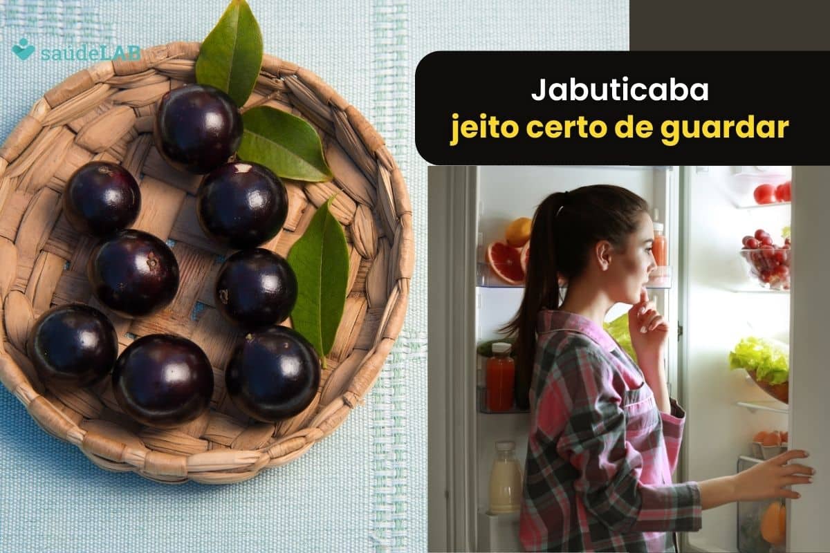 Saiba como guardar jabuticaba na geladeira para ficar fresquinha e saborosa por mais tempo 1 como guardar jabuticaba na geladeira.