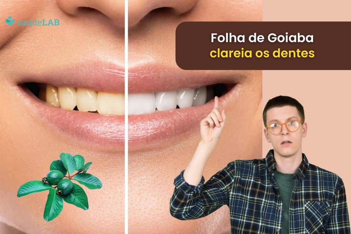Folha de goiaba clareia os dentes mesmo, ou é apenas um mito? Descubra! 1 folha de goiaba clareia os dentes.